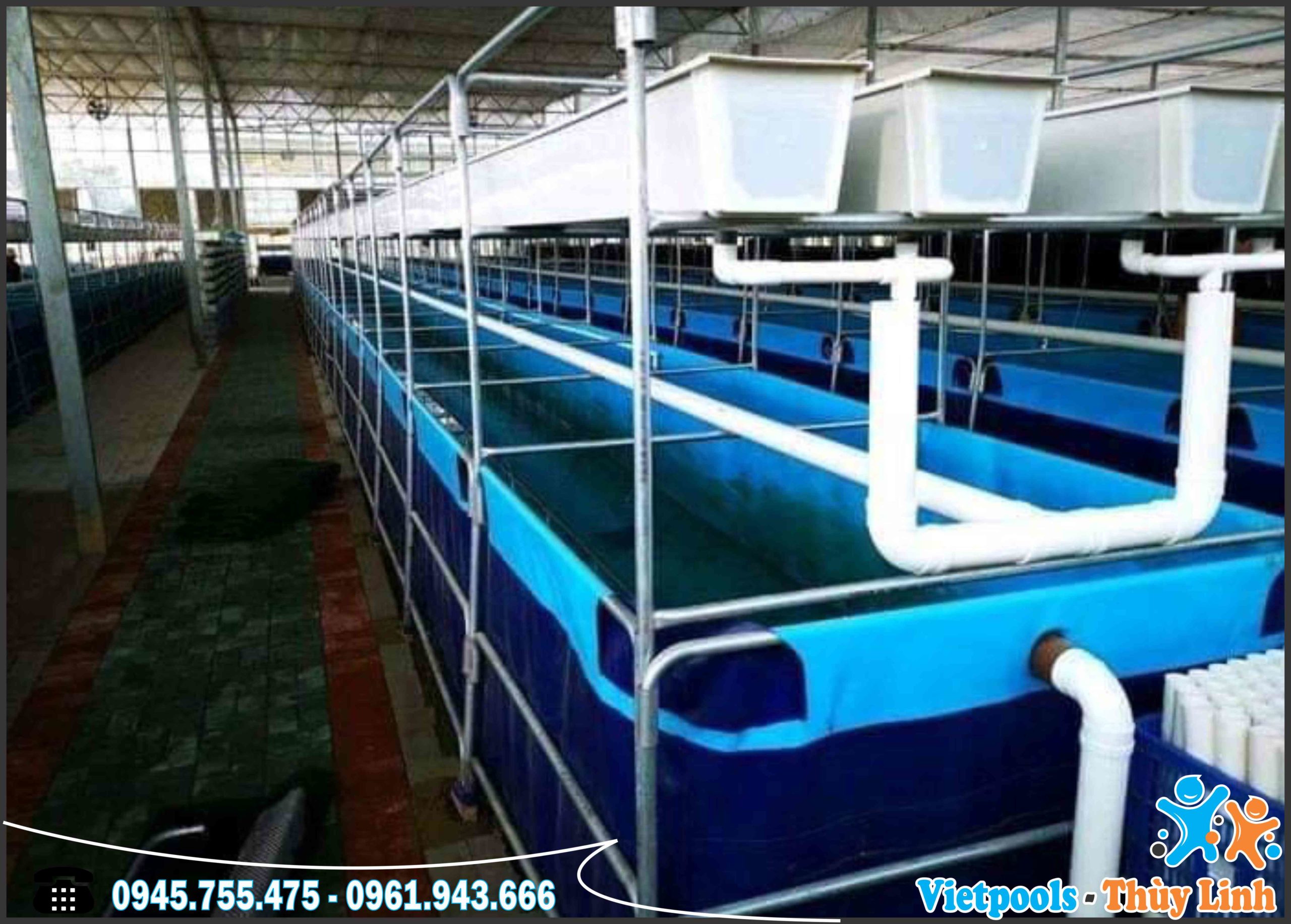 Xưởng sản xuất bể bơi thông minh hàng đầu Việt Nam 9