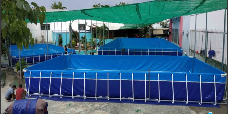Bể bơi di động lắp ghép thông minh dạy bơi