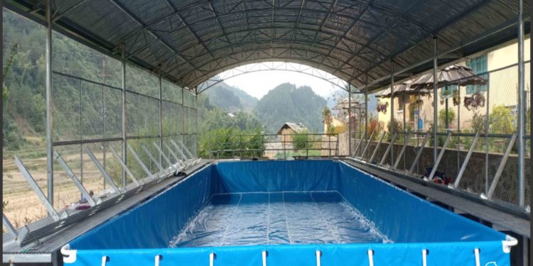 Bể bơi di động lắp ghép thông minh dạy bơi