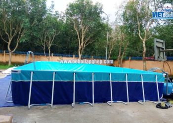 bể bơi trường học lắp ghép
