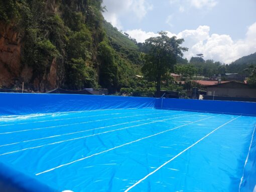 Bể Bơi Khung Kim Loại 9,6m x 20,1m 1