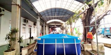 chi phí xây dựng hồ bơi gia đình giá rẻ