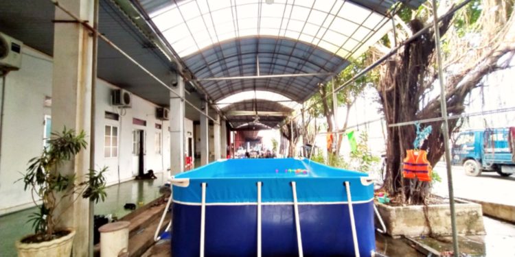 chi phí xây dựng hồ bơi gia đình giá rẻ